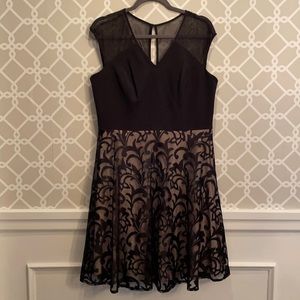 Maggy London Black & Nude Lace Dress